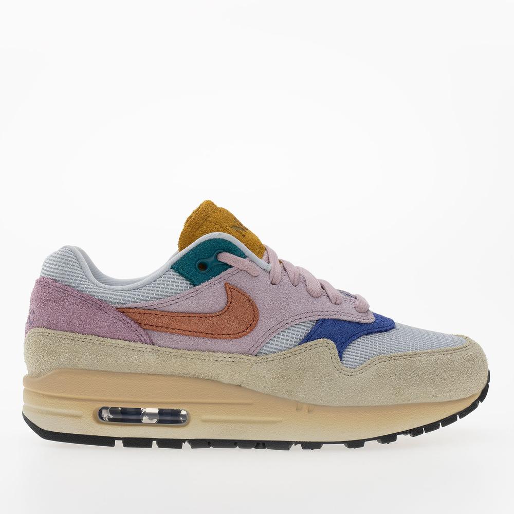 Buty damskie Nike Air Max 1 '87 PRM FN7200-224 - multikolor