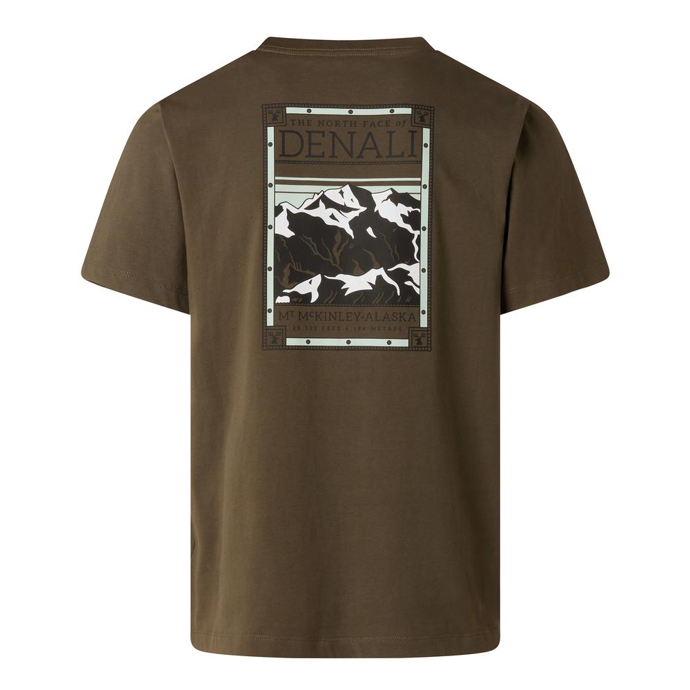 Koszulka męska The North Face Regular Short Graphic 0A8GUW21L1 - brązowa