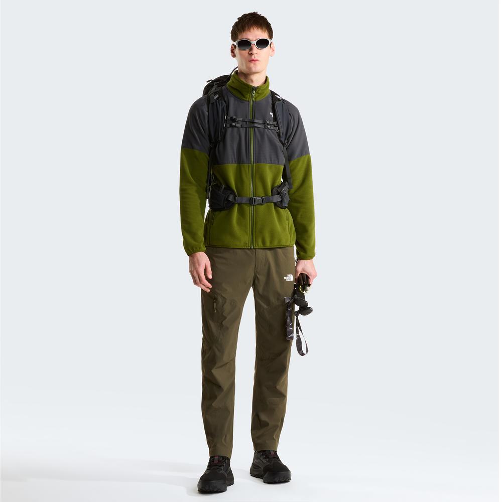 Bluza męska The North Face 100 Glacier Heavyweight Full-Zip Fleece 0A89JGM6D1 - szaro-zielona
