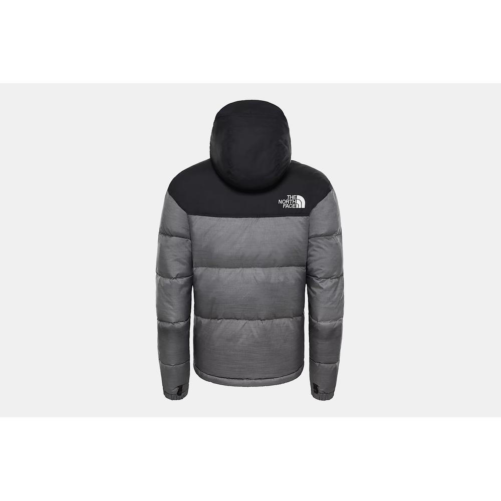 THE NORTH FACE 1996 RETRO NUPTSE > 0A3C8DDYY1