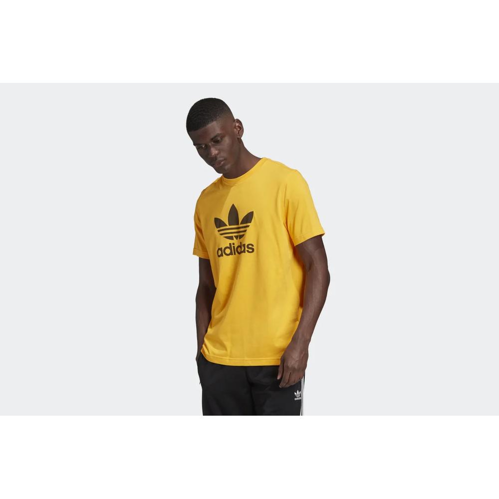 ADIDAS TREFOIL TEE > GD9913