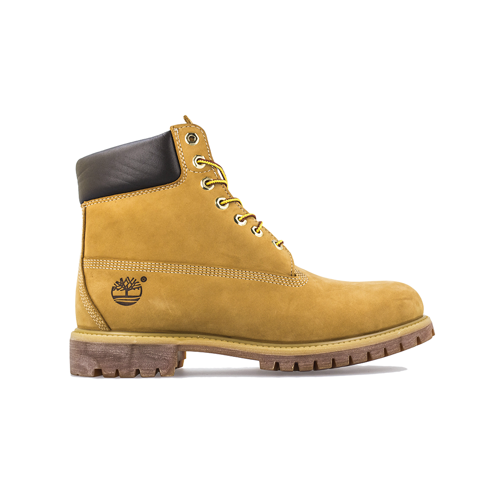 TIMBERLAND PREMIUM 6 > 10061