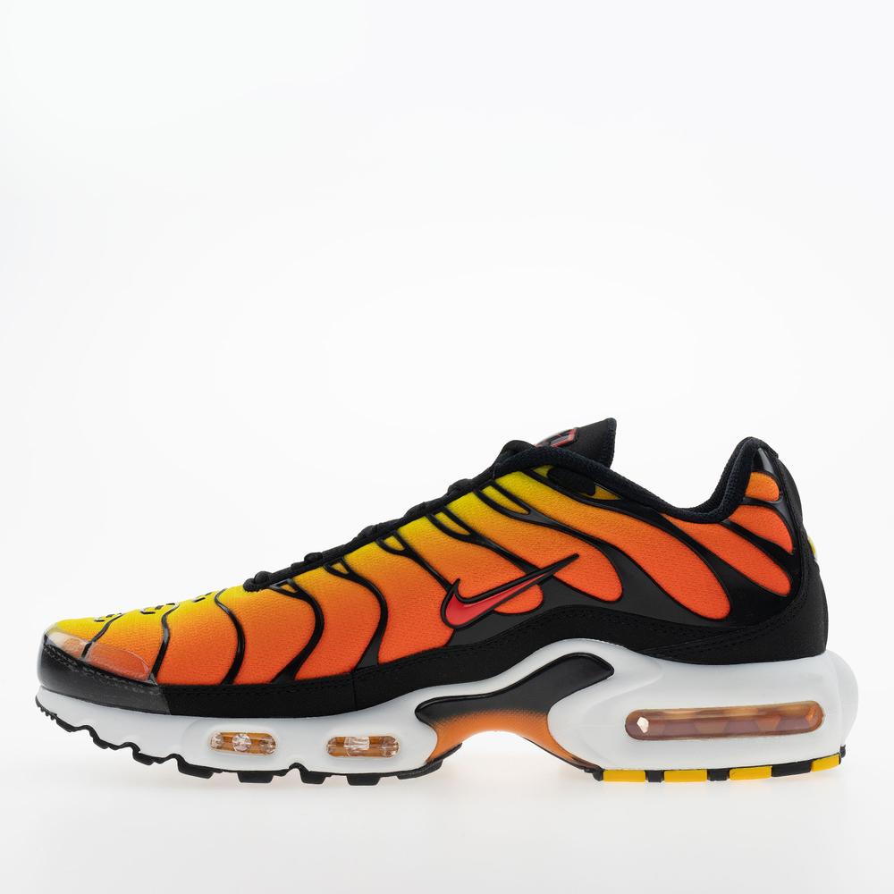 Buty męskie Nike Air Max Plus HF0552-001 - multikolor