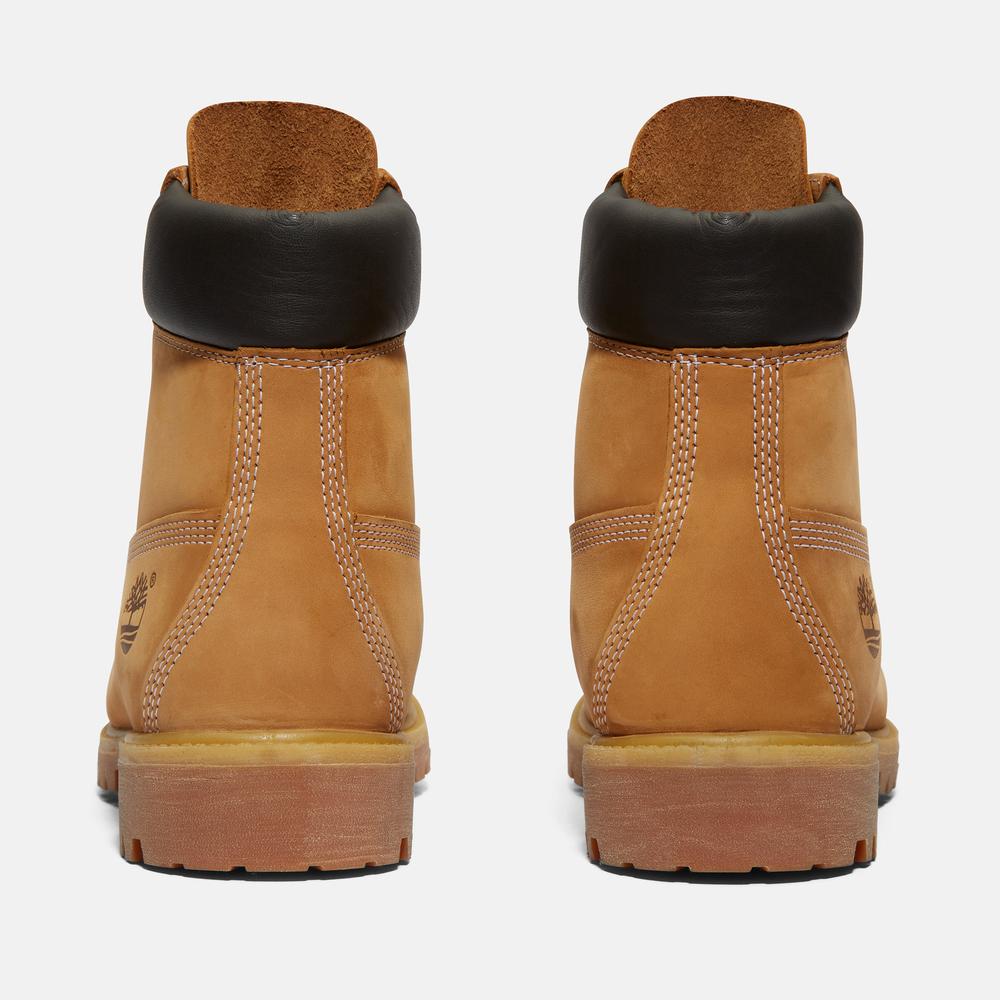 Buty męskie Timberland Premium 6 Inch Boot 1100617131 - brązowe