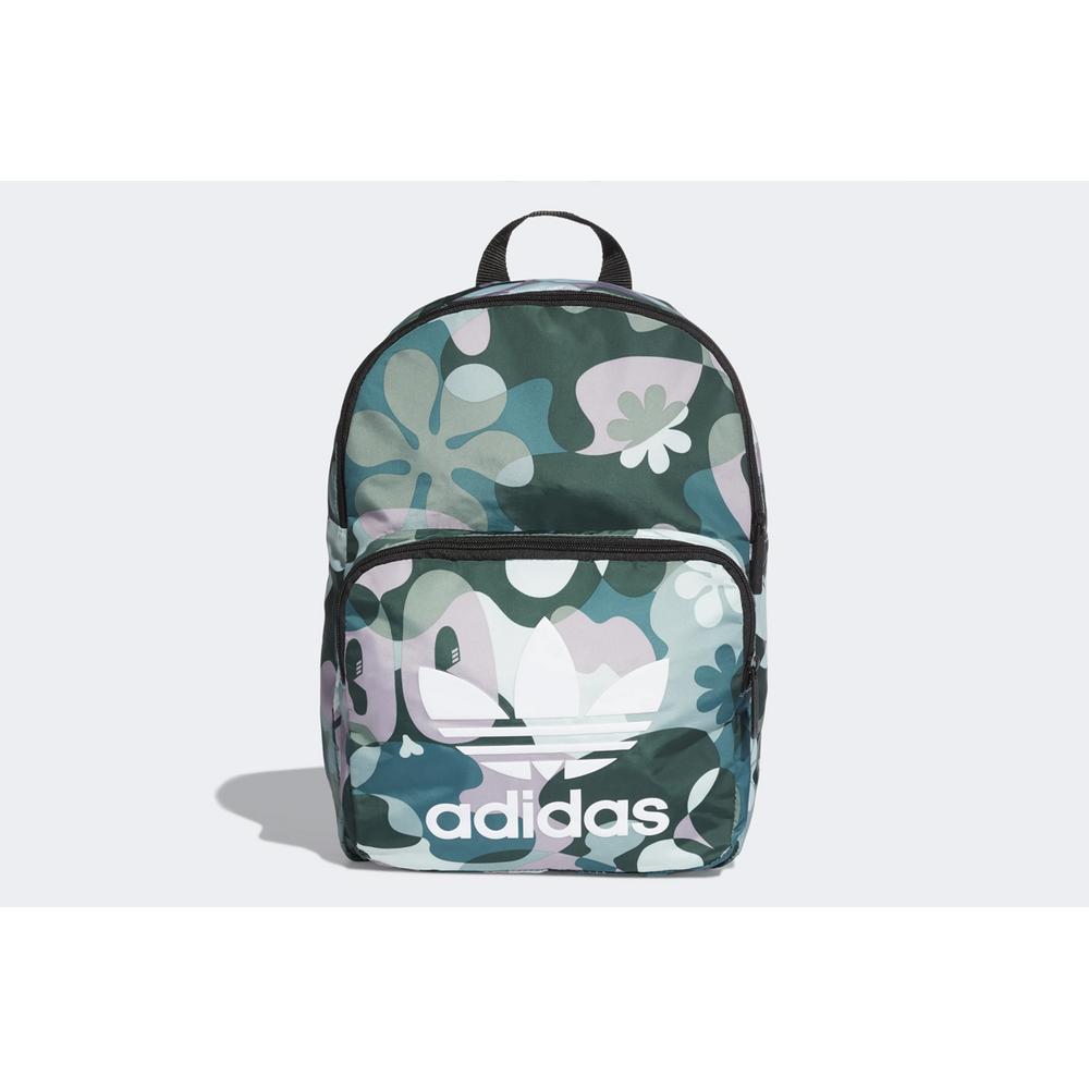 adidas Originals Classic > DW6718