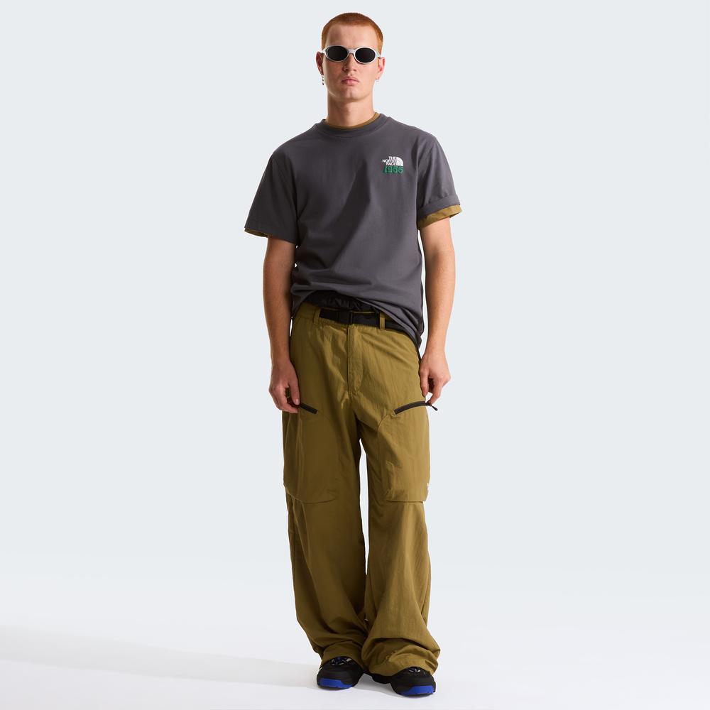 Koszulka męska The North Face 1966 Motion 0A8GAHRHI1 - szara