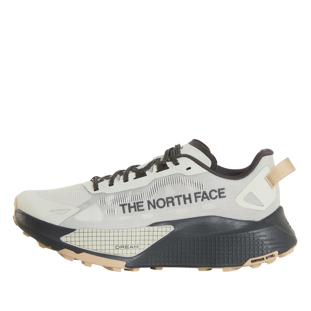 Buty męskie The North Face Altamesa 500 V2 0A8DAJTFL1 - szare