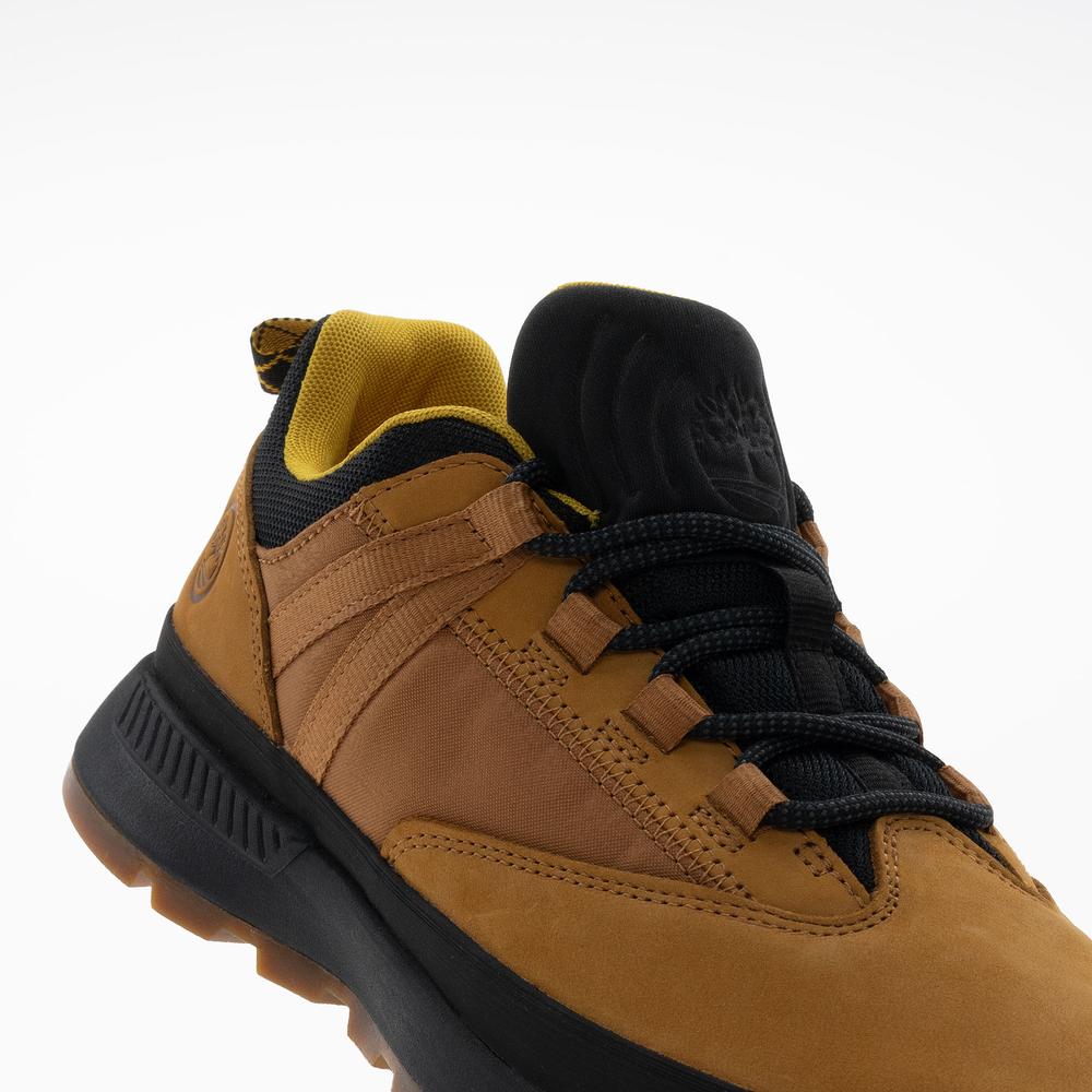 Buty męskie  Timberland Euro Trekker Low F/L TB0A62742311 - brązowe