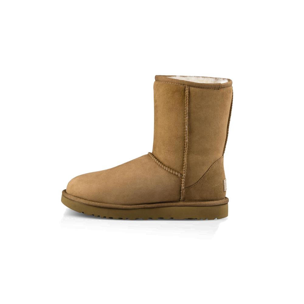 UGG W CLASSIC SHORT II > 1016223-CHE