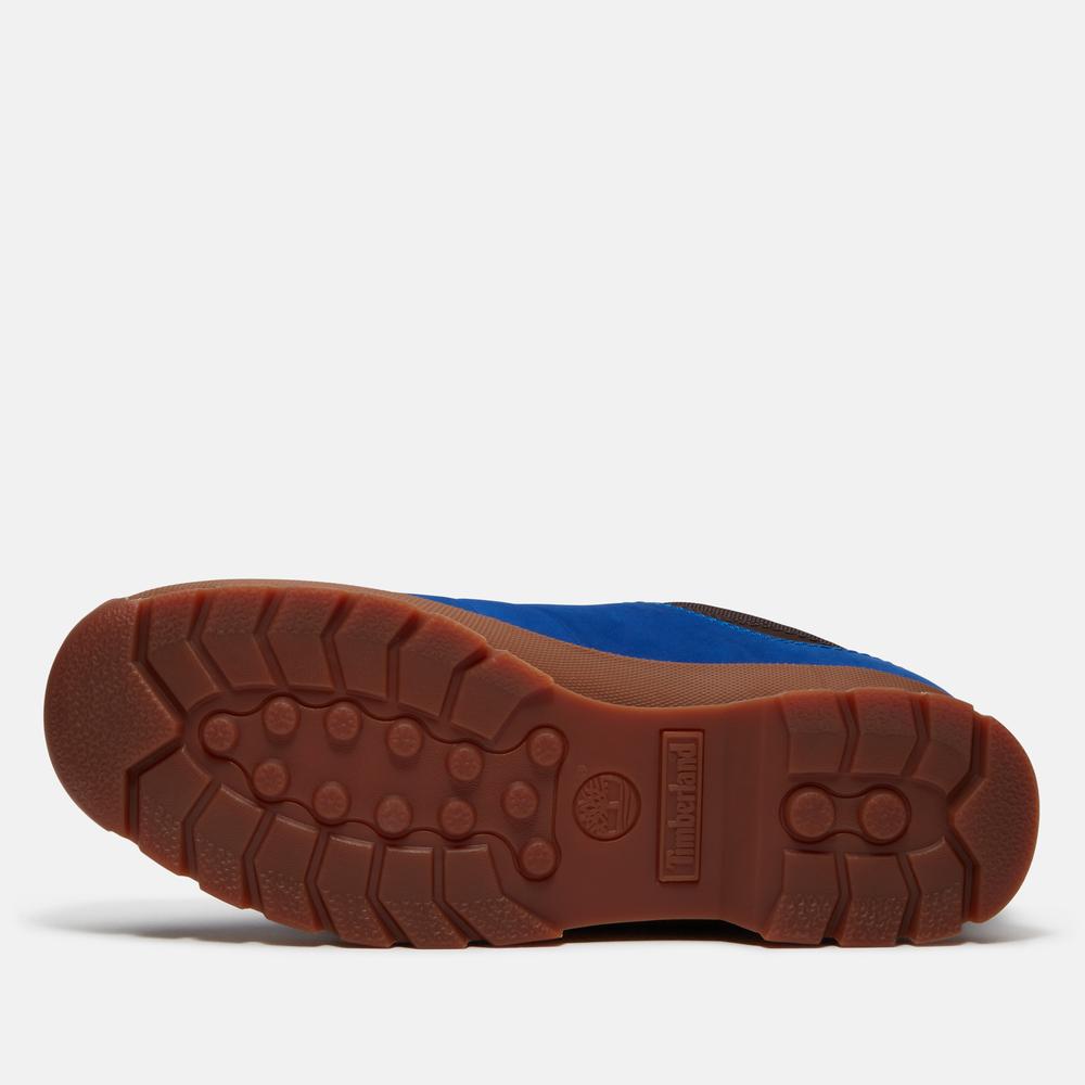 Buty męskie Timberland Euro Hiker Low Lace TB0A443ZELD1 - niebieskie