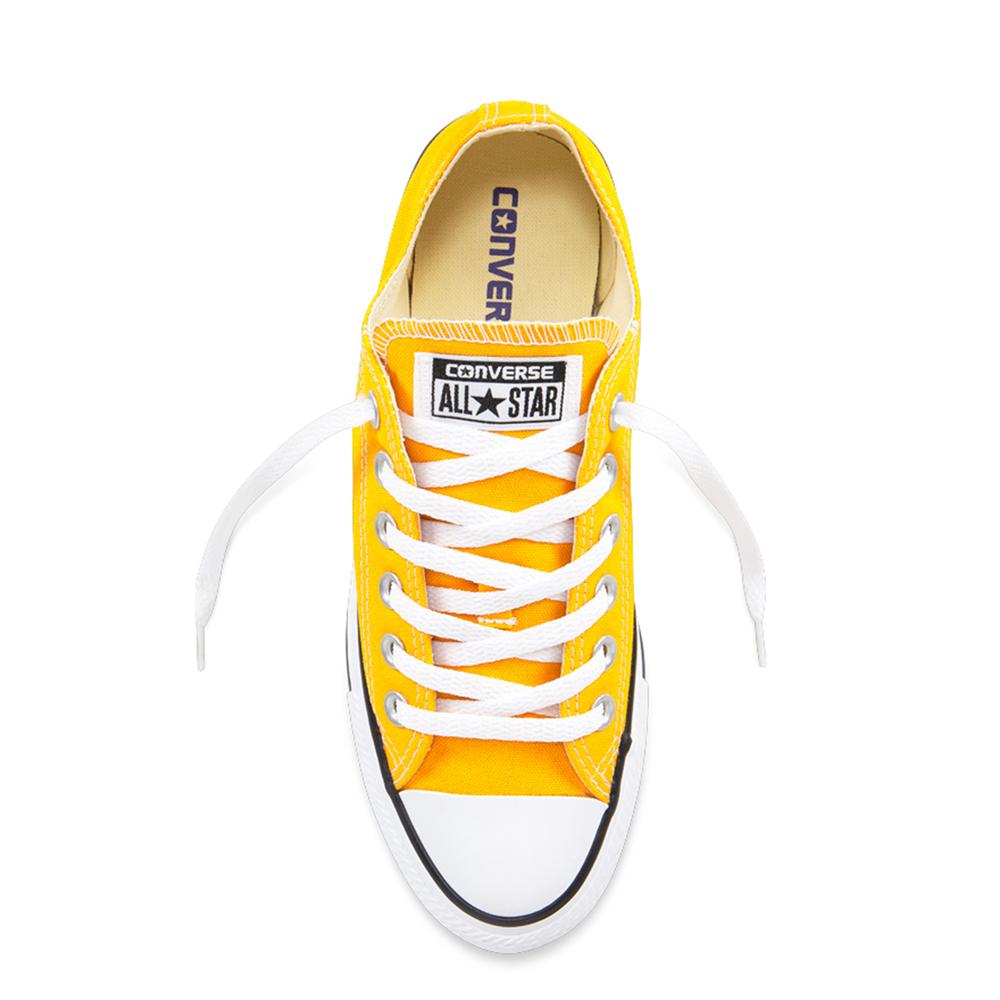 Converse Chuck Taylor All Star Seasonal Color Low Top 159676C