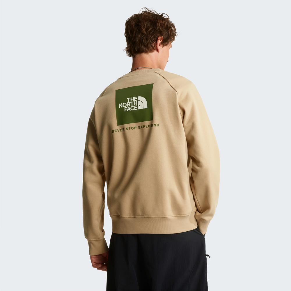 Bluza męska The North Face Raglan Box NS Crew 0A89FALK51 - beżowa