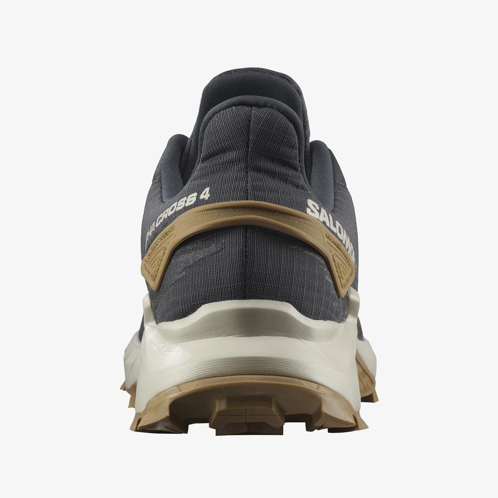 Buty Salomon Alphacross 4 L41724100 - szare