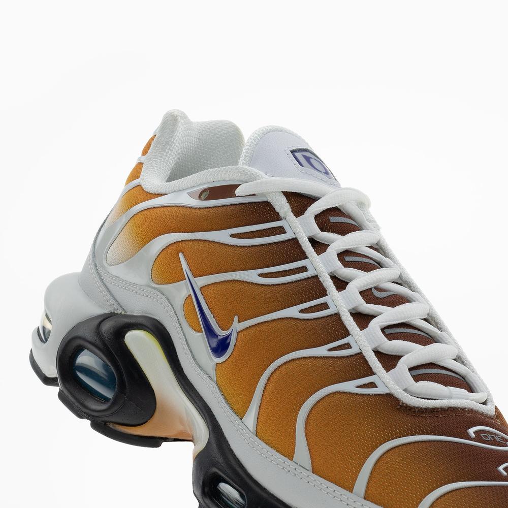 Buty męskie Nike Air Max Plus FZ3308-700 - multikolor