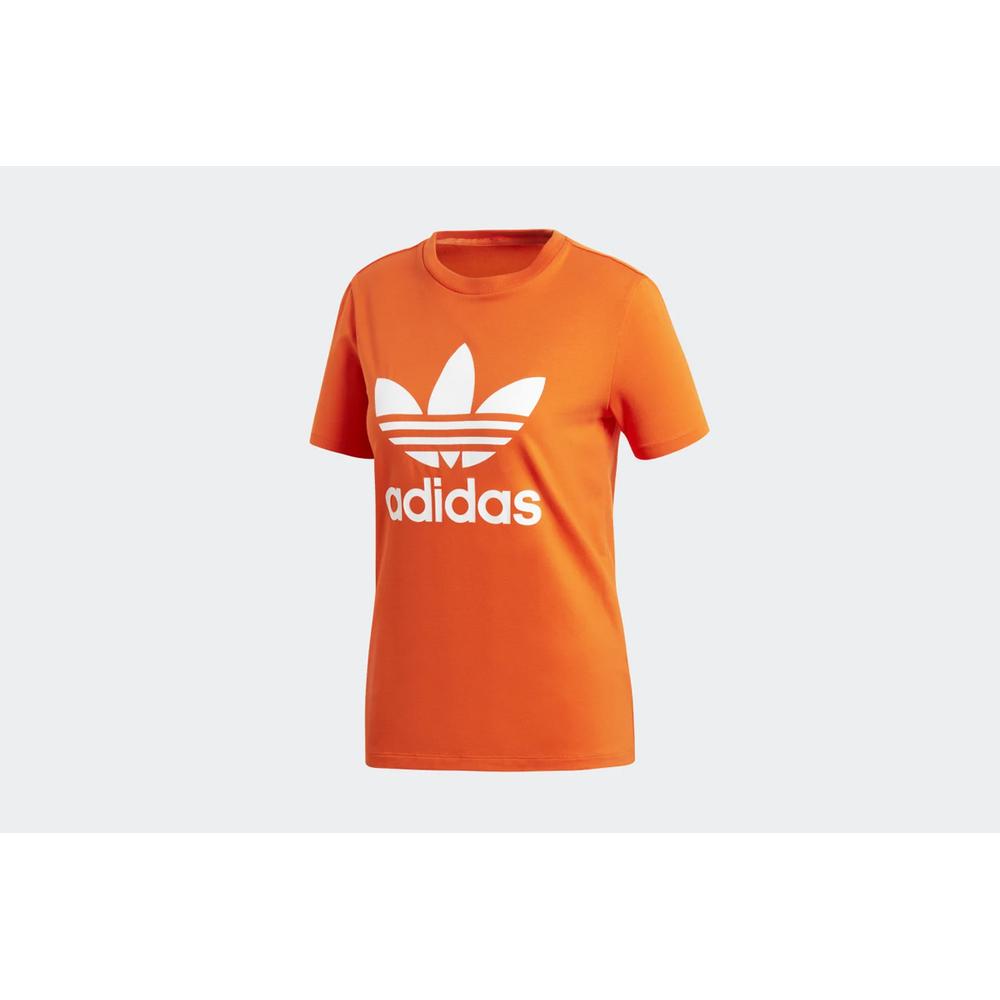 ADIDAS TREFOIL TEE > ED7494