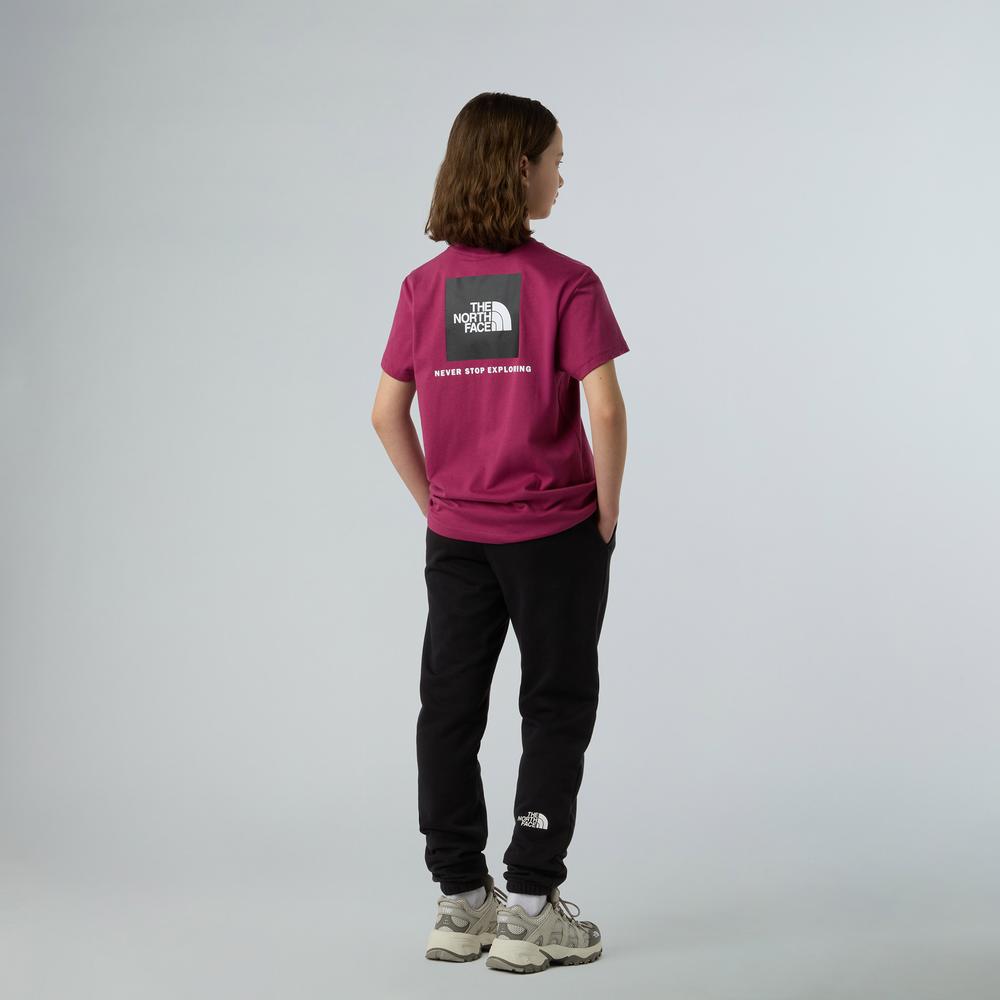 Koszulka dziecięca The North Face NSE Box Tek 0A8CJB6EO1 - różowa