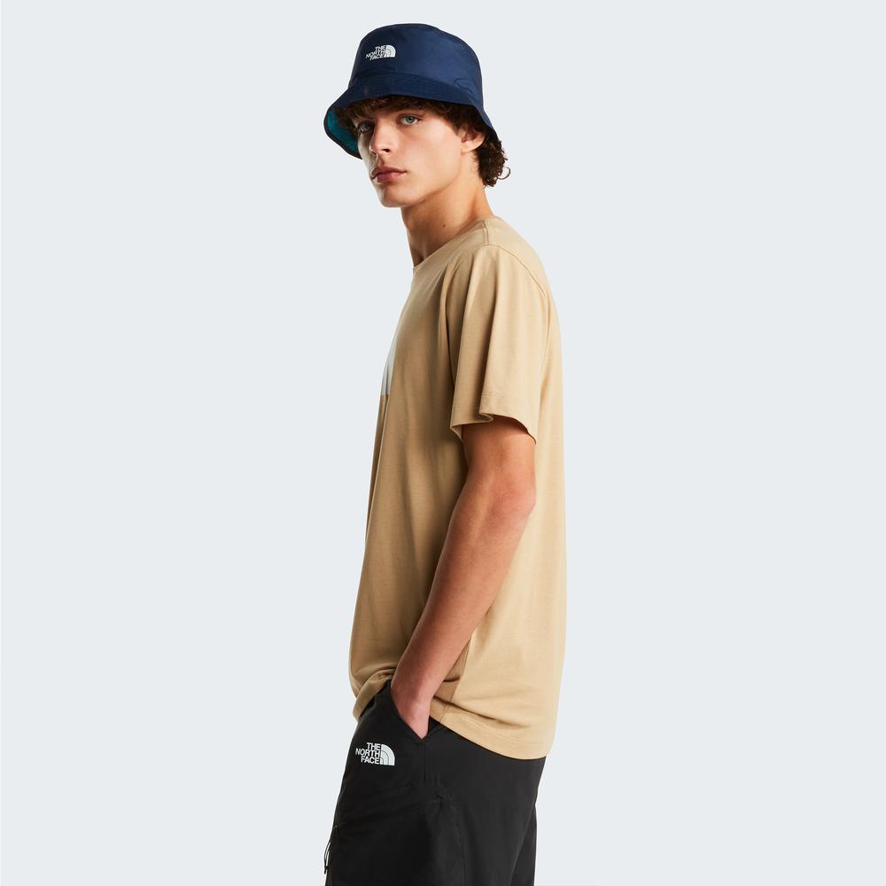 Koszulka męska The North Face Evolution Half Dome 0A8B6JLK51 - beżowa