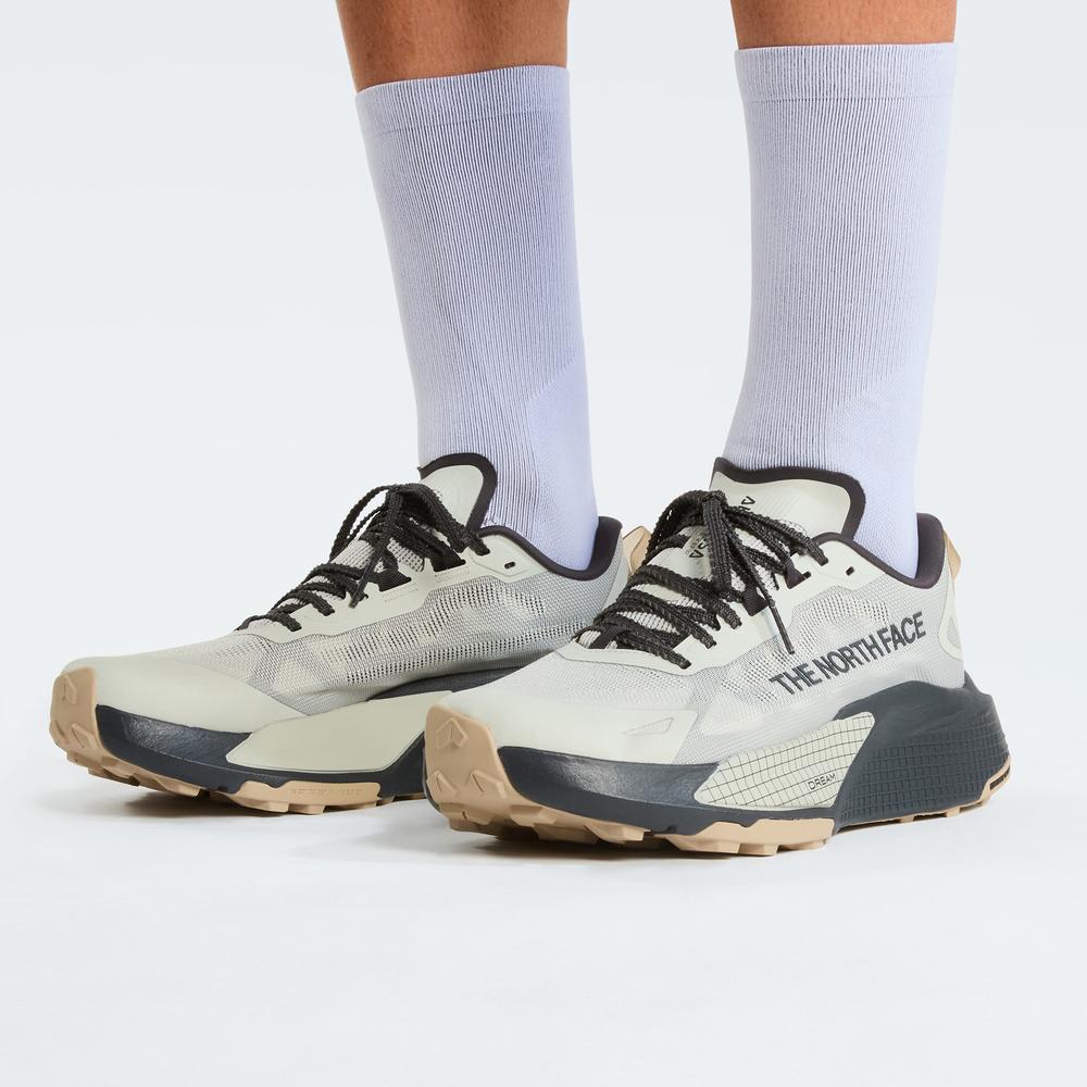 Buty męskie The North Face Altamesa 500 V2 0A8DAJTFL1 - szare