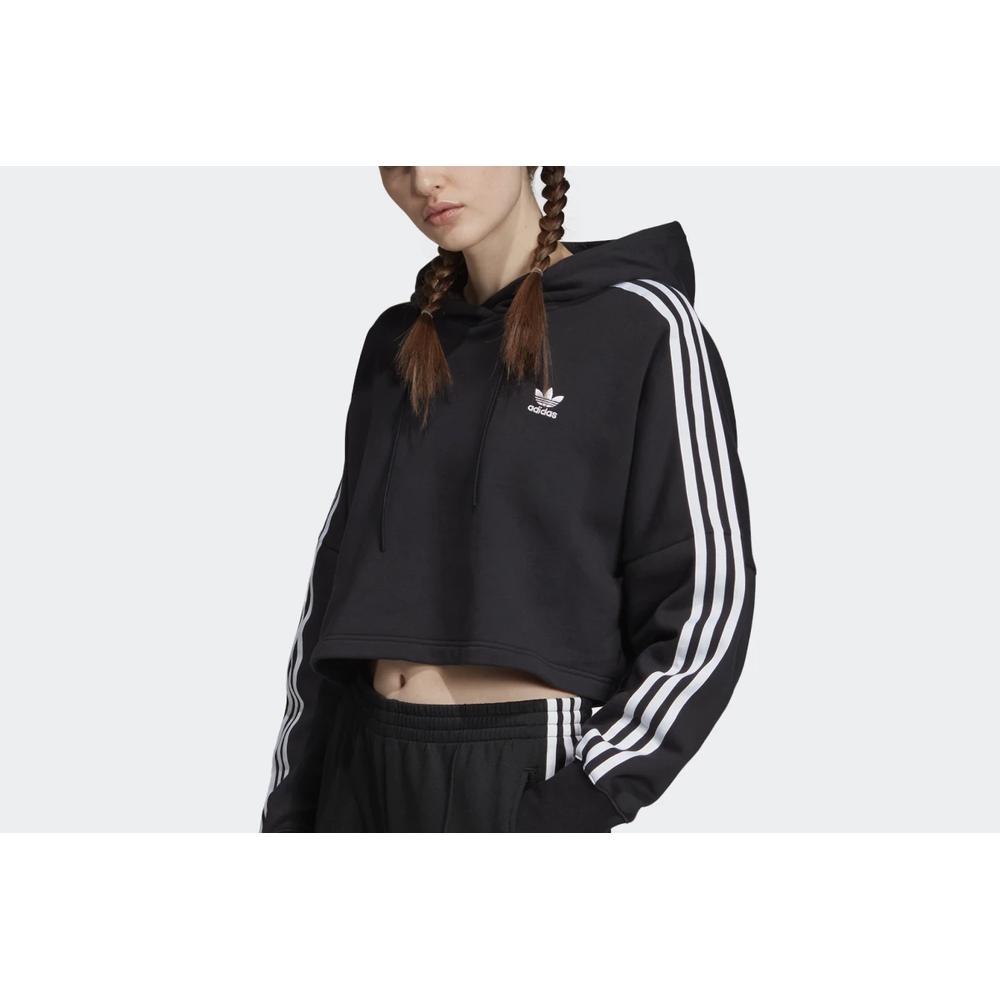 ADIDAS CROPPED HOODIE > ED7554