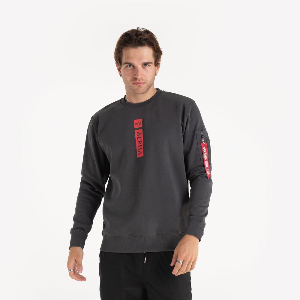 Bluza Alpha Industries RP 146305684 - szara