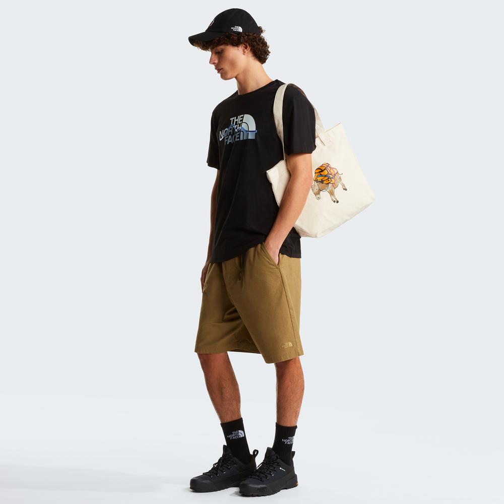 Koszulka męska The North Face Mountain Line 0A8GUXJK31 - czarna