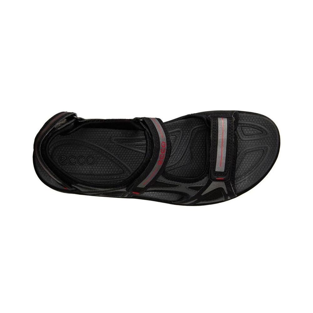 Ecco Cruise 84154458863