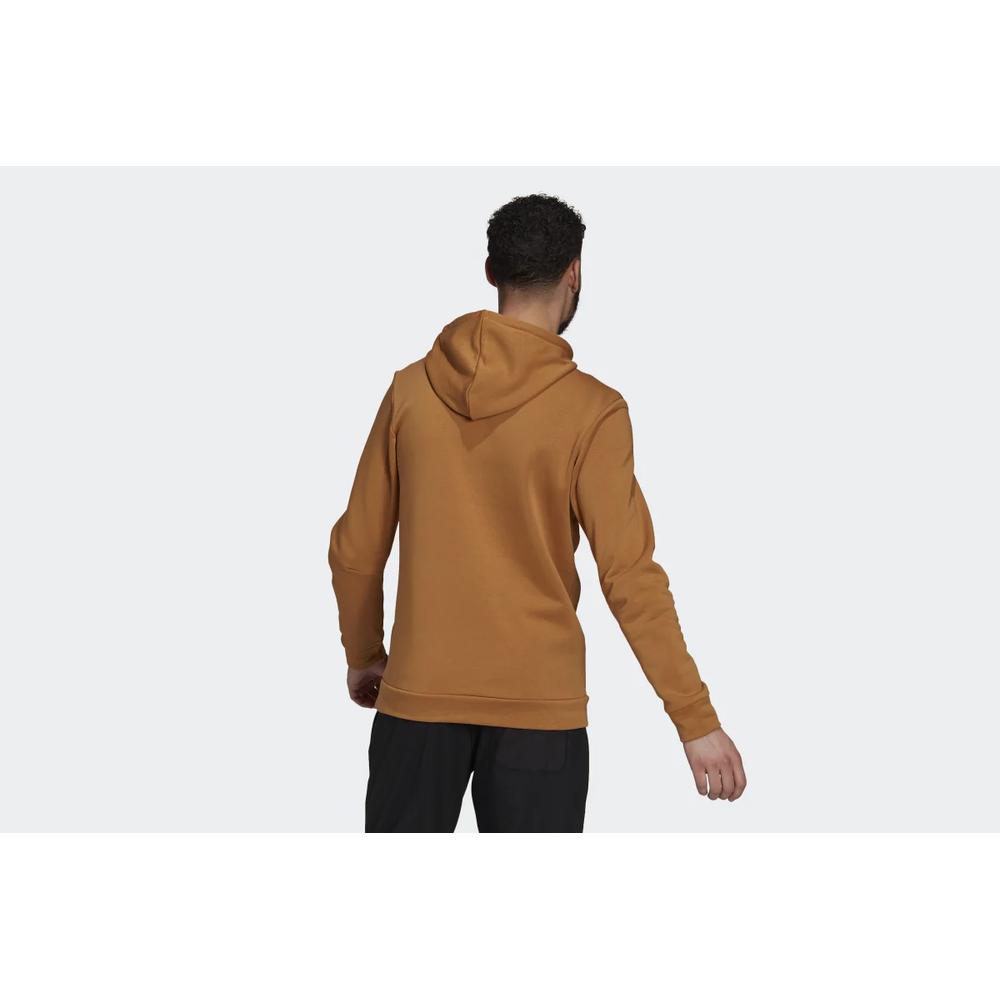 adidas Terrex Graphic Logo Hoodie > GU8975