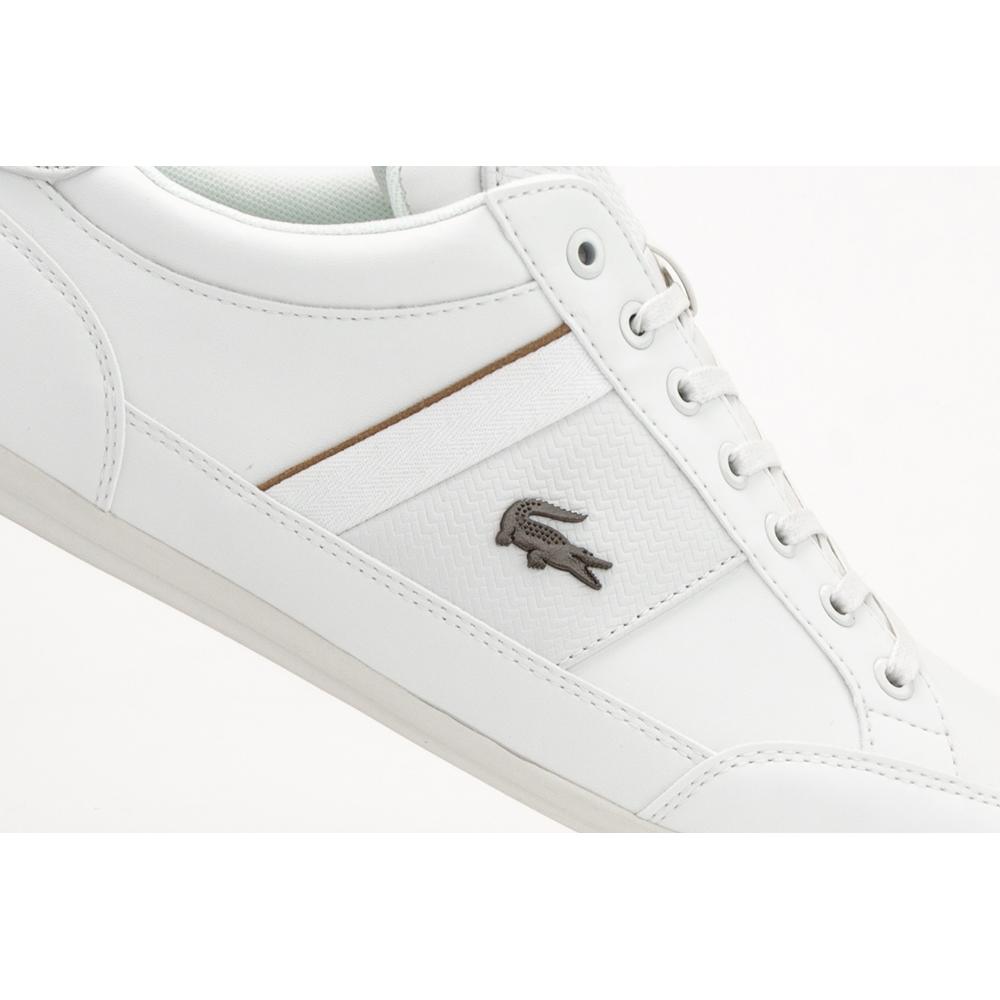 LACOSTE CHAYMON 319 3 CMA > 738CMA00212R2