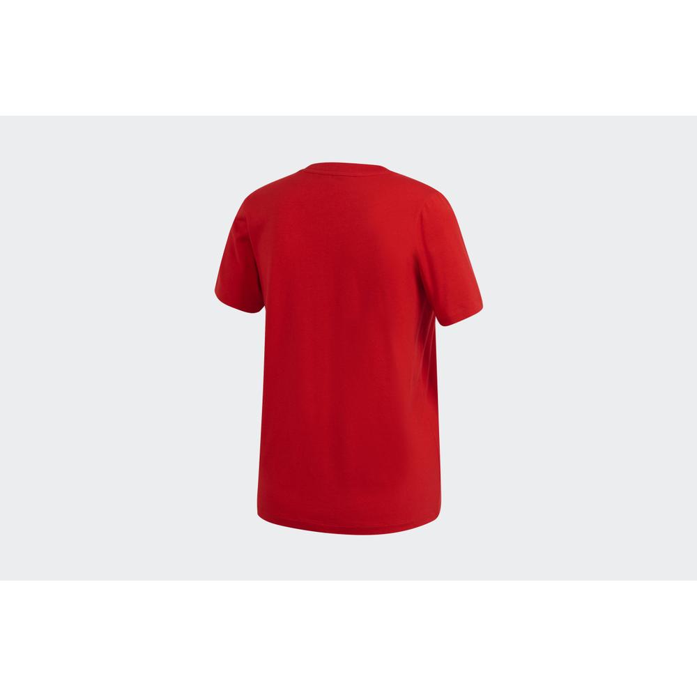 adidas Trefoil Tee > GI7061