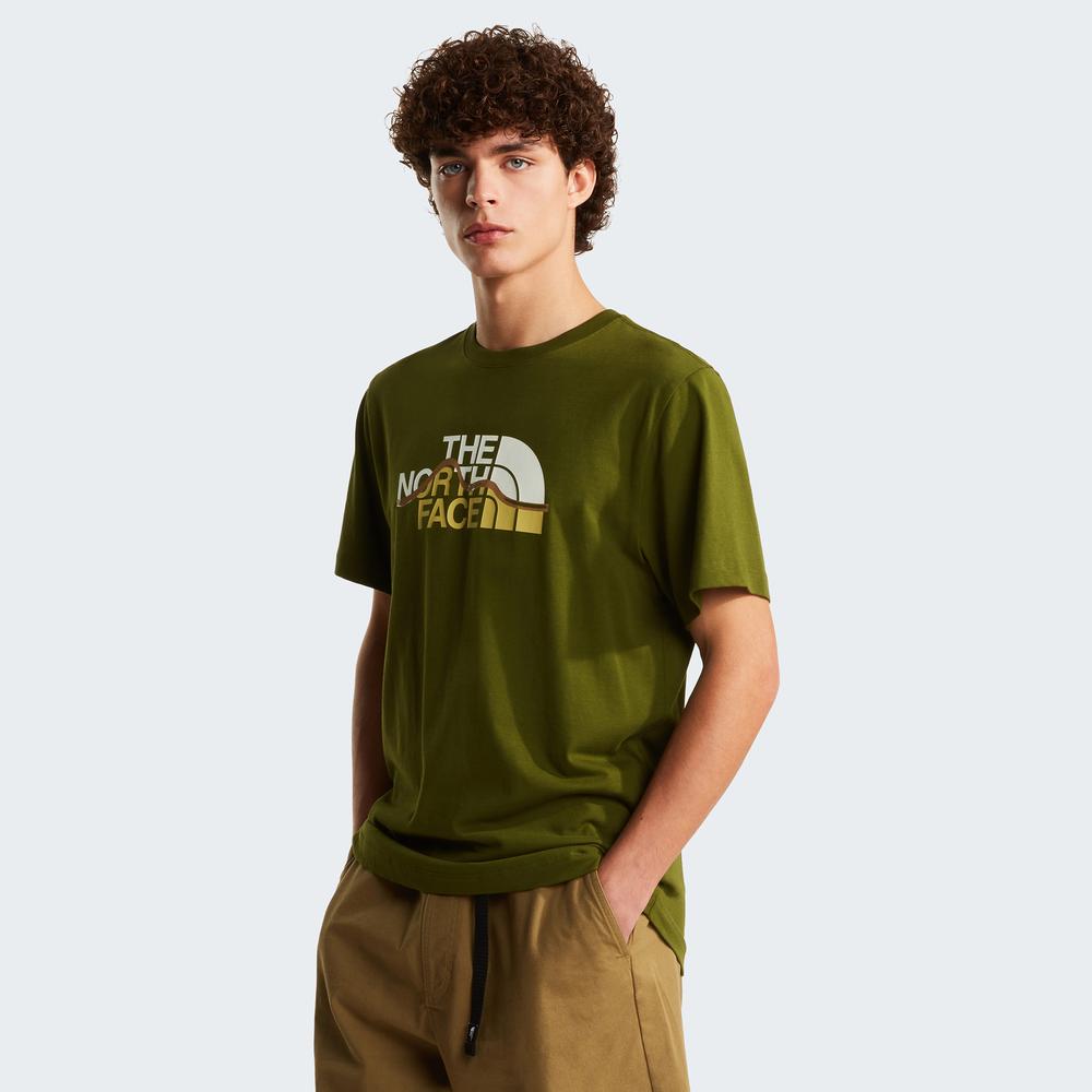 Koszulka męska The North Face Mountain Line 0A8GUXBRI1 - zielona