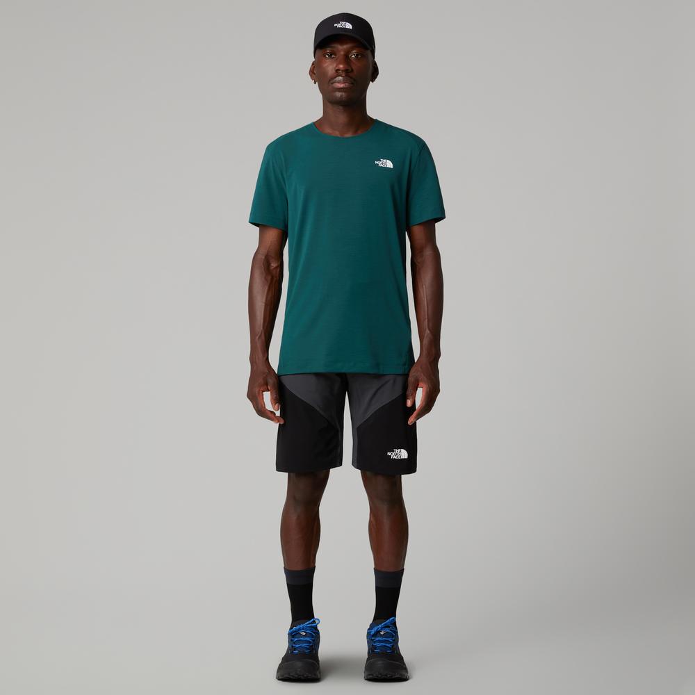 Spodenki męskie The North Face Felik 0A825X4JK1 - szaro-czarne