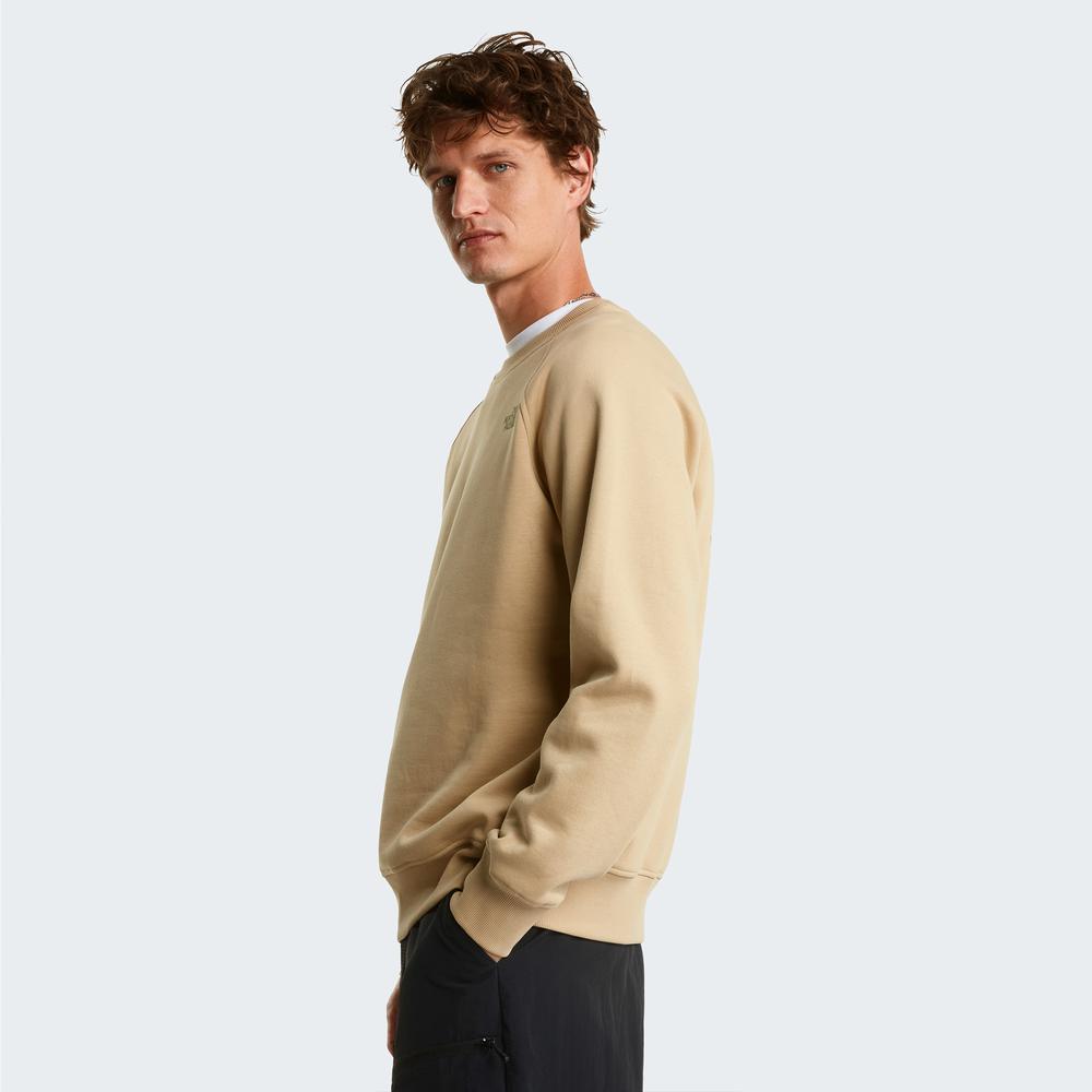Bluza męska The North Face Raglan Box NS Crew 0A89FALK51 - beżowa