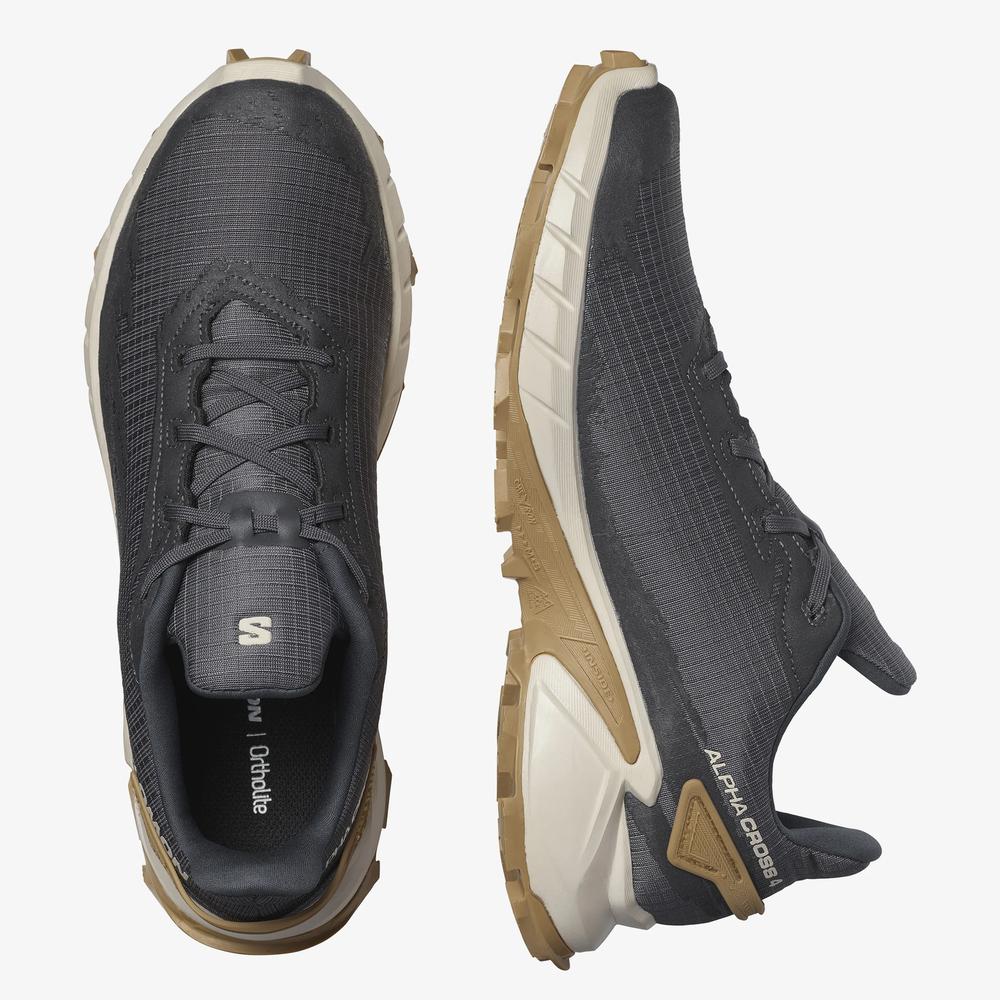 Buty Salomon Alphacross 4 L41724100 - szare