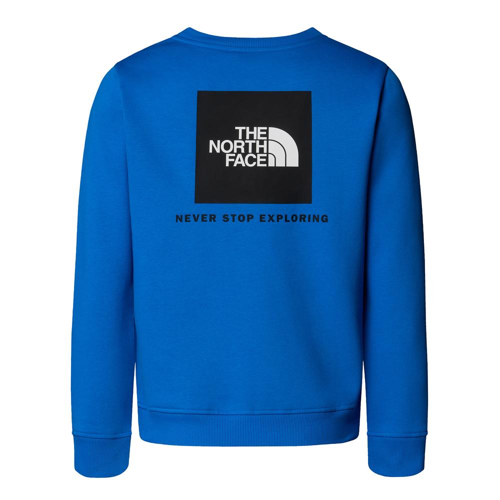 Bluza dziecięca The North Face Raglan Box NSE 0A89H7T4S1 - niebieska