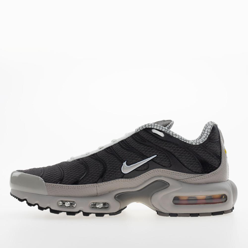 Buty męskie Nike Air Max Plus IB7679-200 - szare