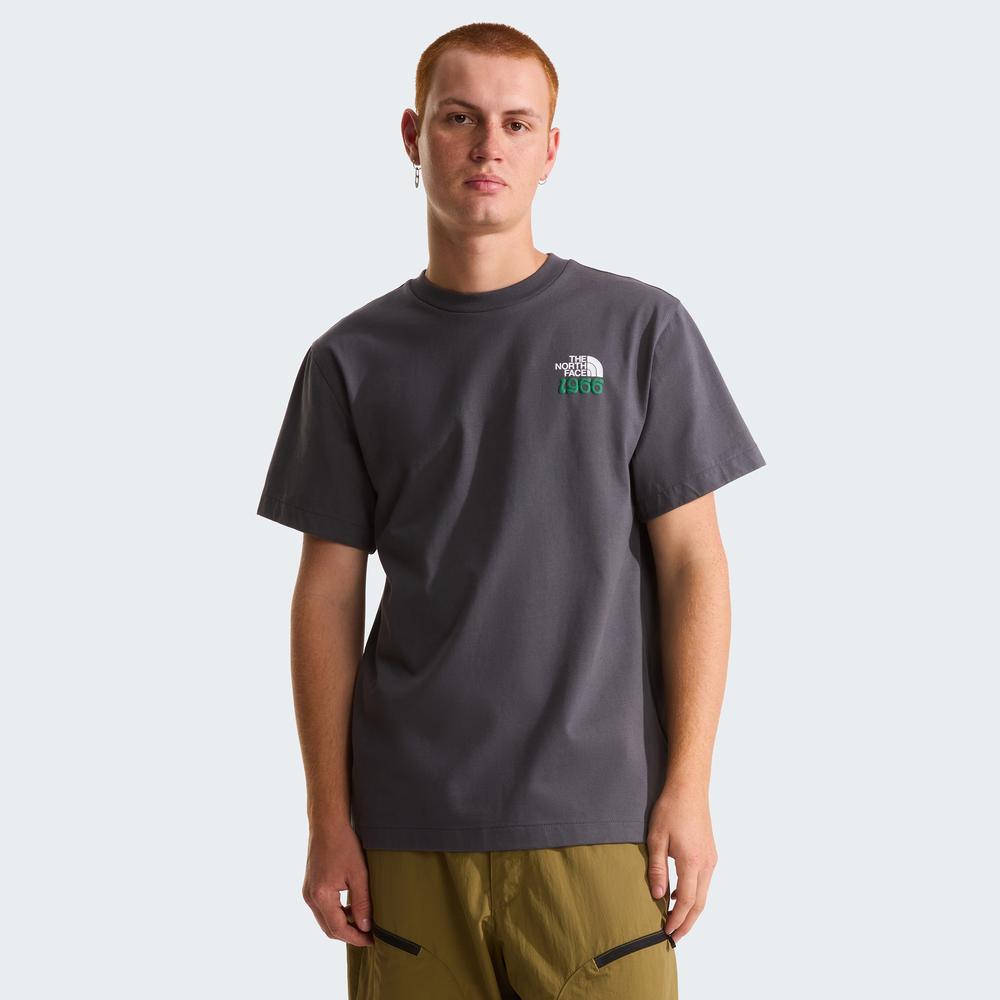 Koszulka męska The North Face 1966 Motion 0A8GAHRHI1 - szara