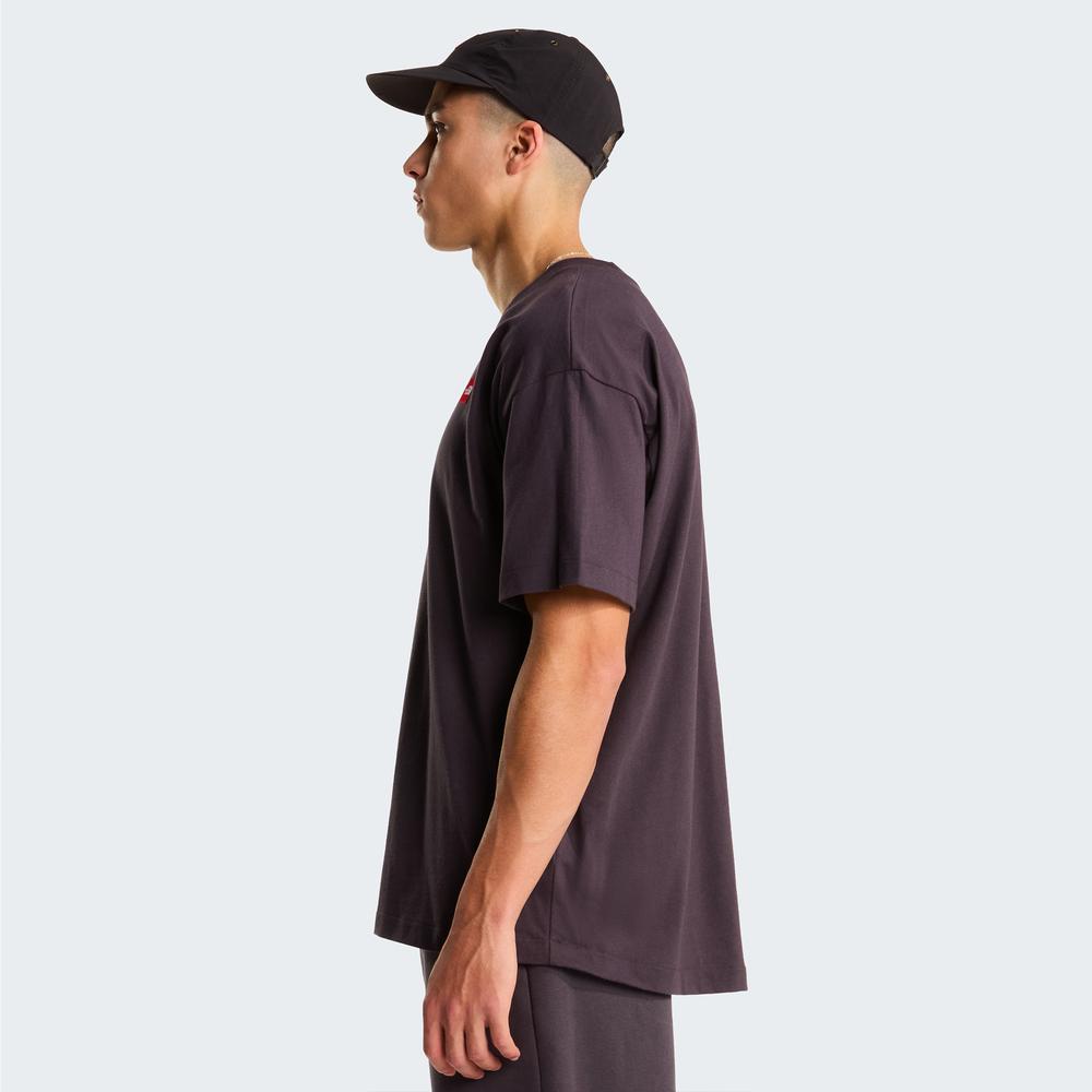 Koszulka męska The North Face Red Box 0A8EG50SA1 - brązowa