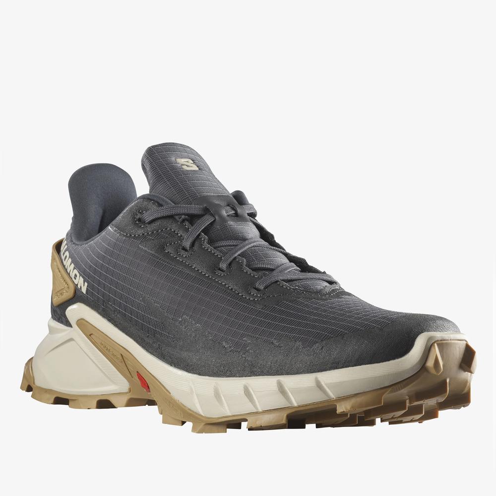 Buty Salomon Alphacross 4 L41724100 - szare