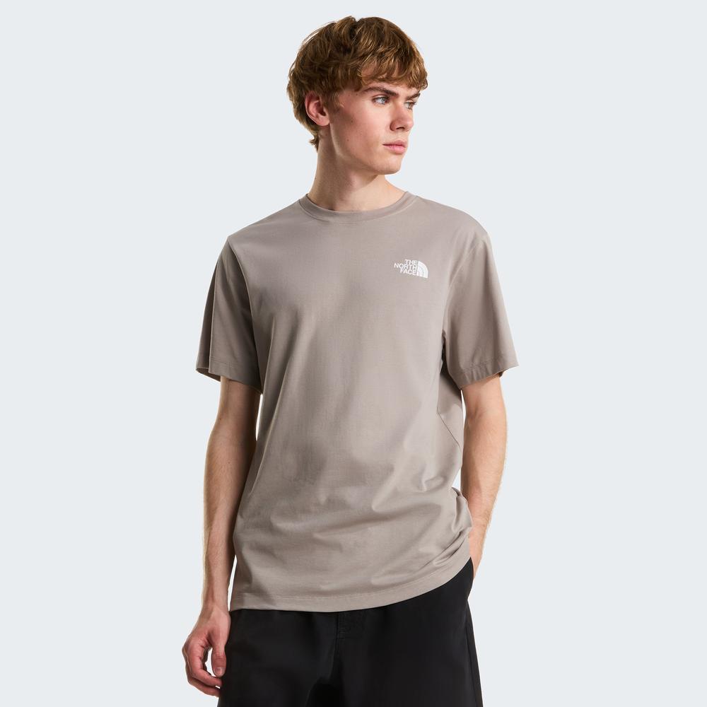 Koszulka męska The North Face Evolution NSE Box 0A8B6K2MB1 - szara