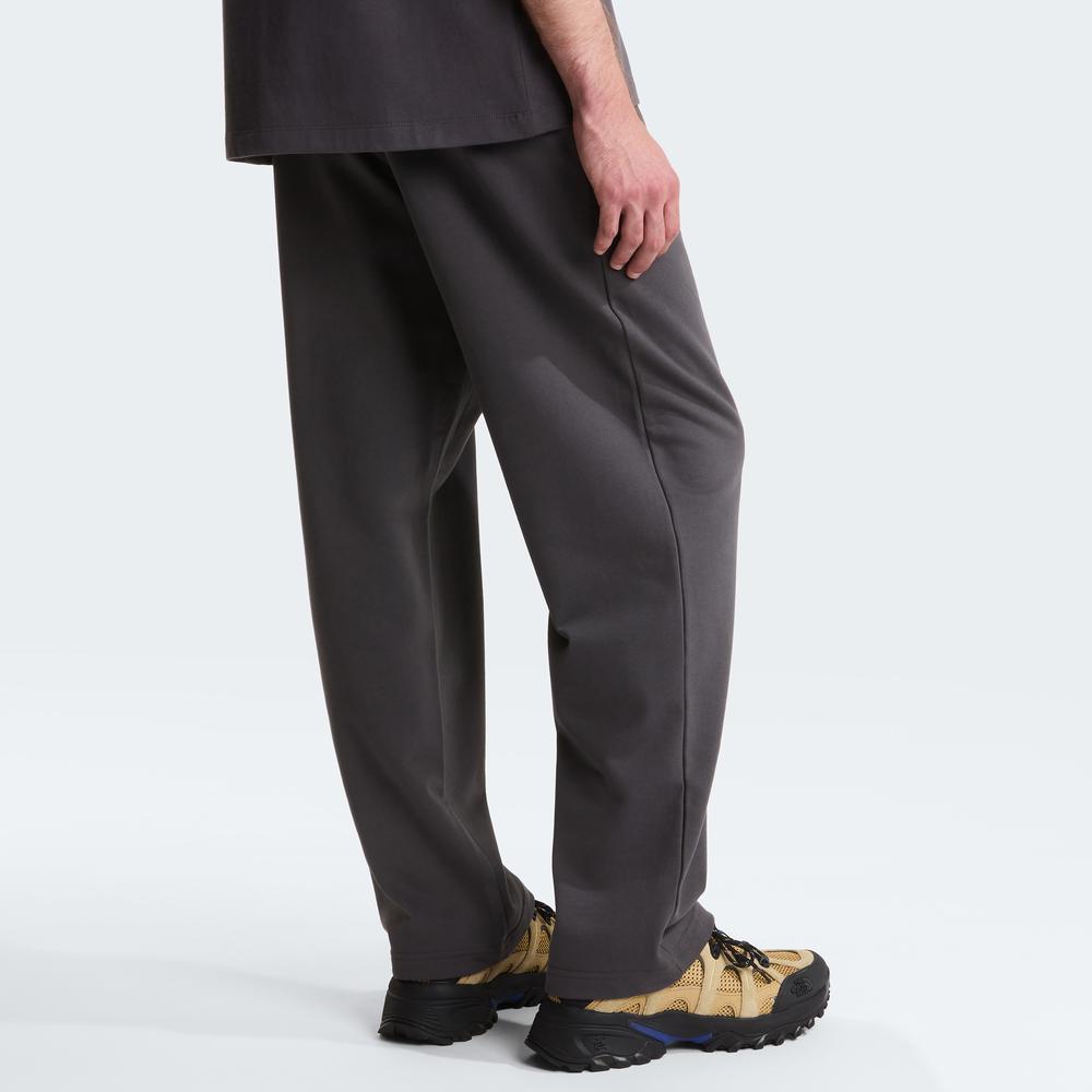 Spodnie męskie The North Face Essential Light 0A8GQHRHI1 - szare