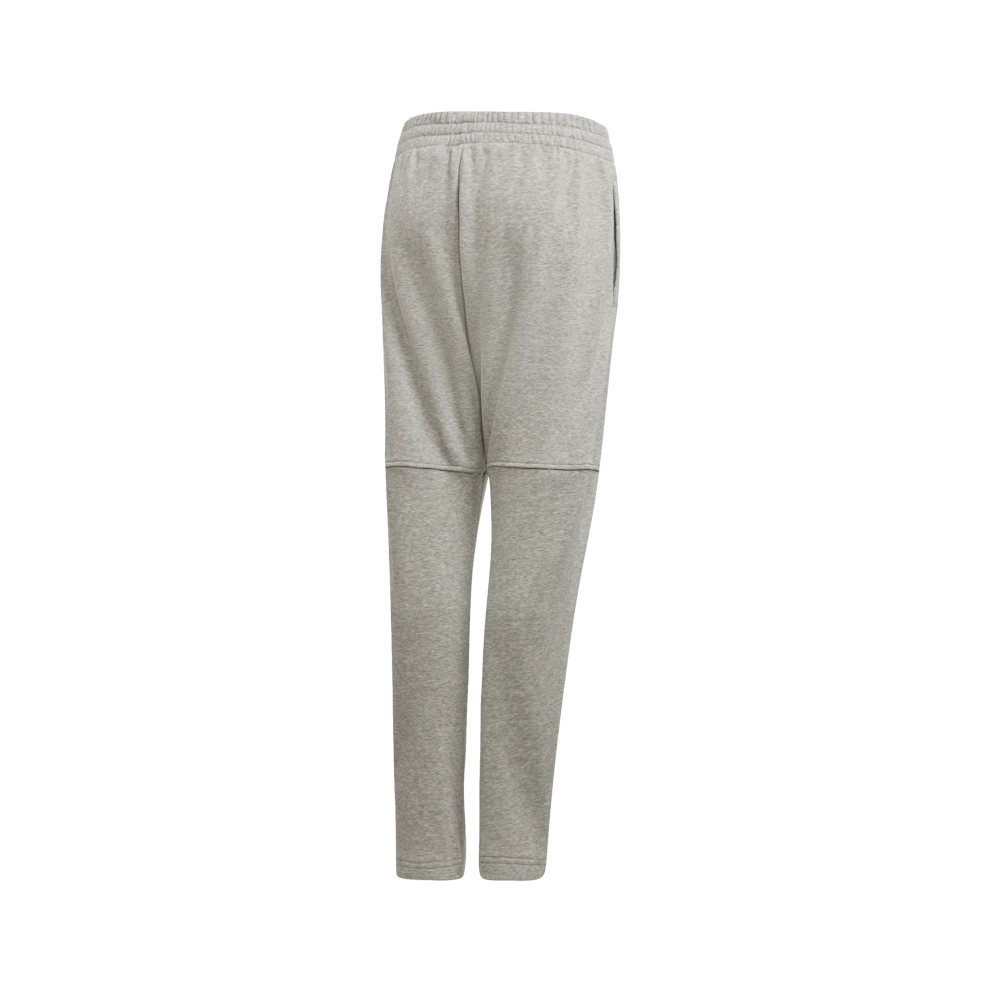 Spodnie adidas Essentials Logo CF6540