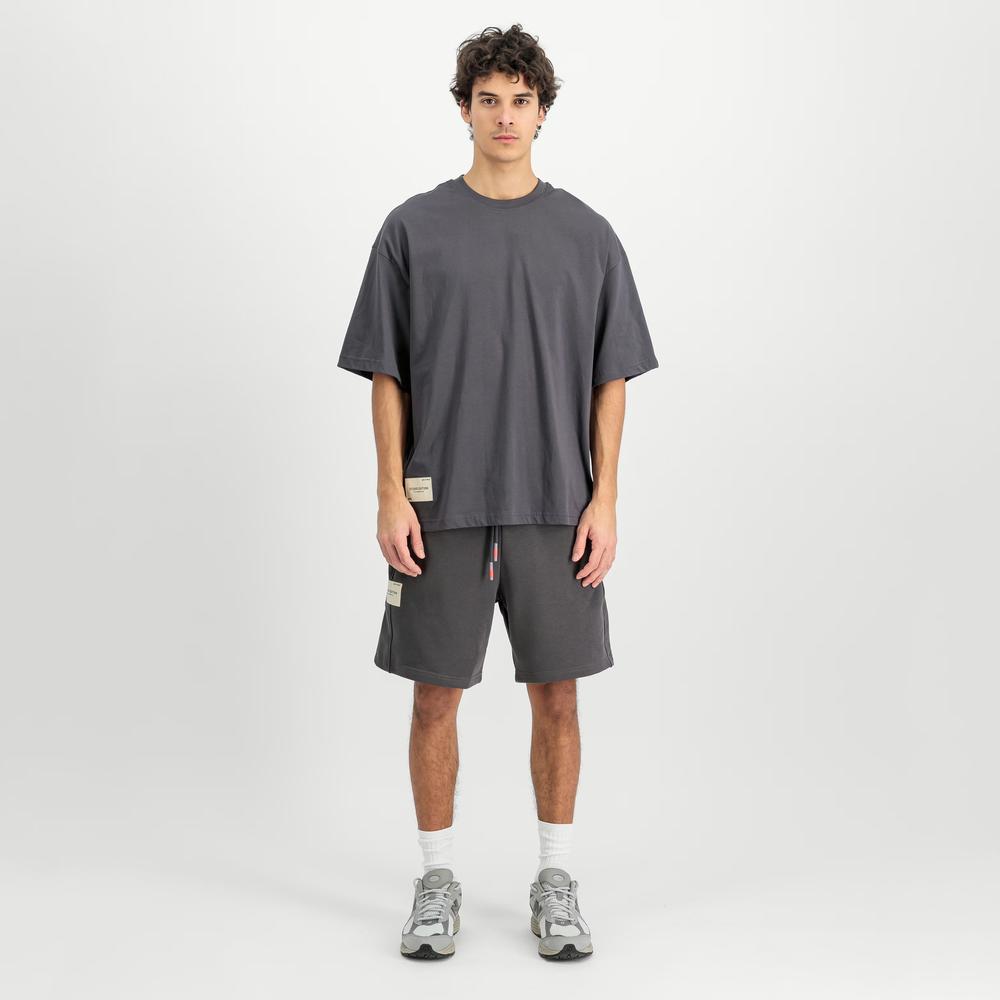 Koszulka męska Alpha Industries Studio Edition 156550684 - szara