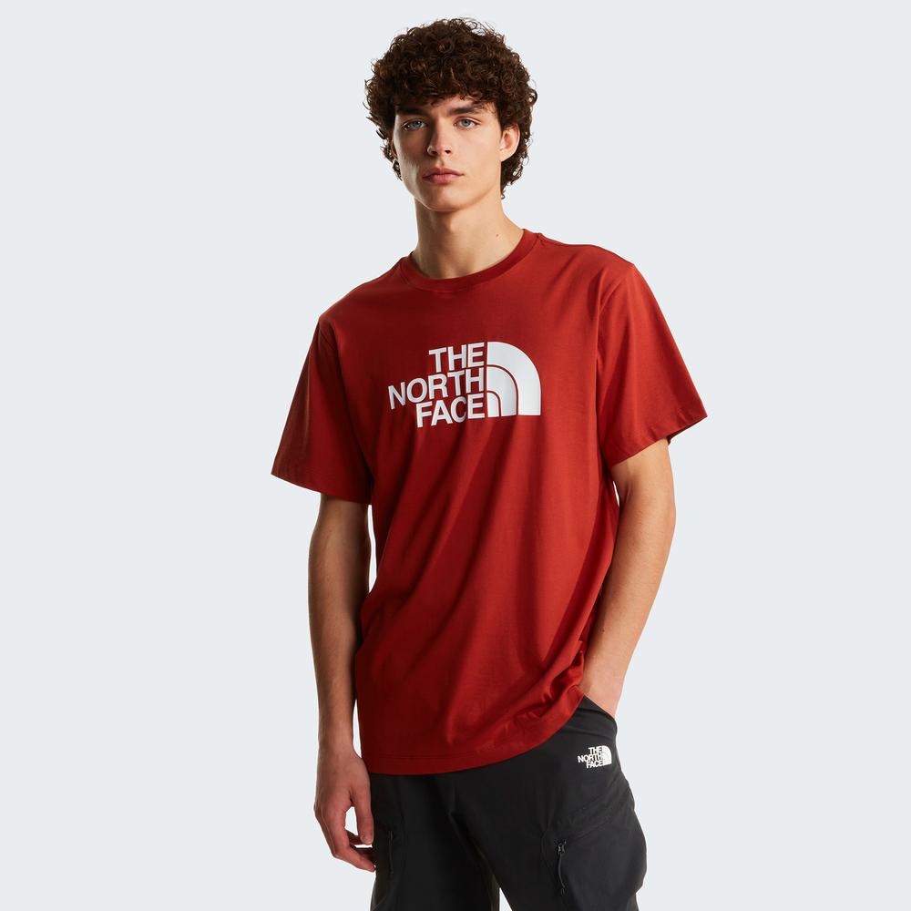 Koszulka męska The North Face Evolution Half Dome 0A8B6JG6I1 - czerwona