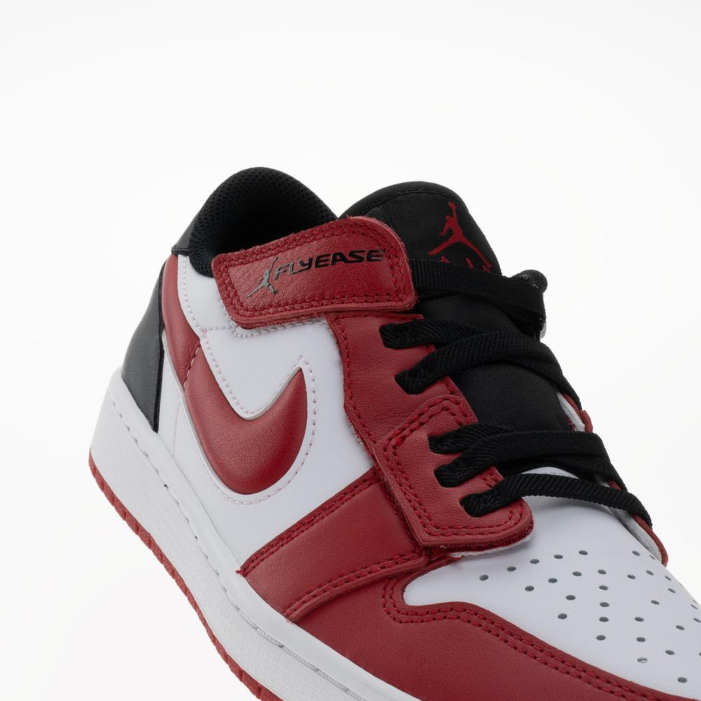 Buty męskie Air Jordan 1 Low Flyease DM1206-163 - multikolor