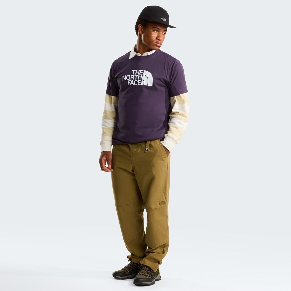 Koszulka męska The North Face Evolution Half Dome 0A8B6JG5O1 - fioletowa