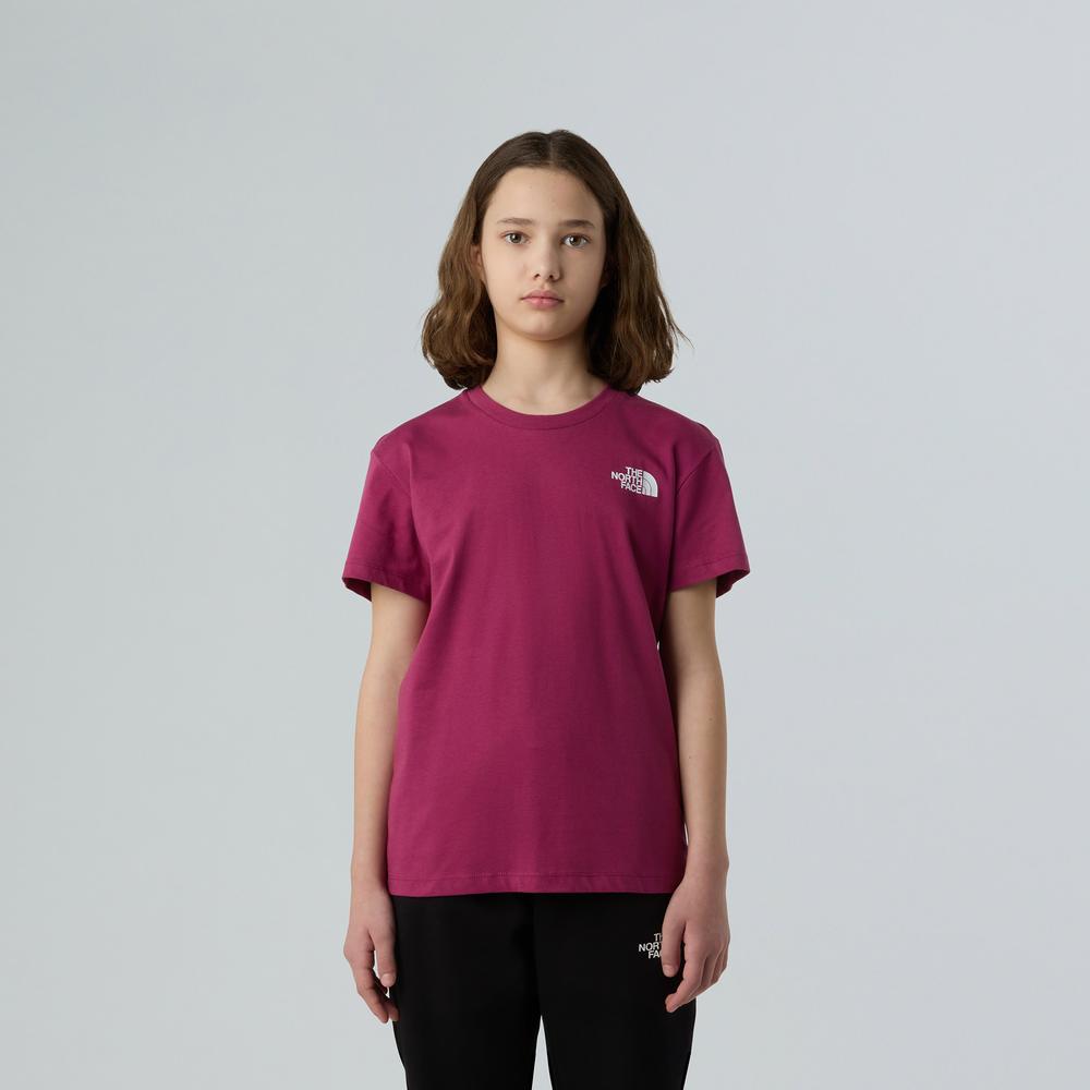 Koszulka dziecięca The North Face NSE Box Tek 0A8CJB6EO1 - różowa