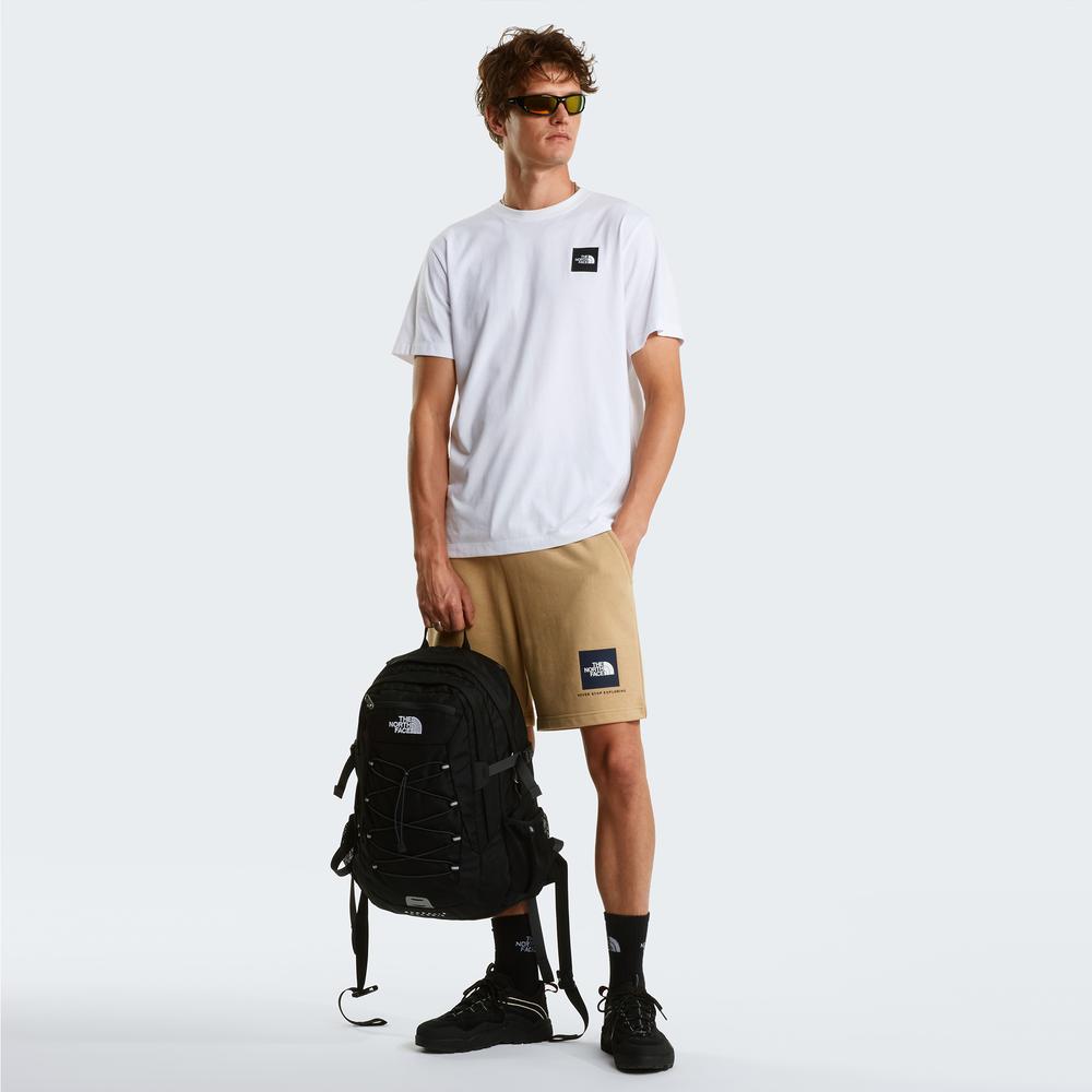 Spodenki męskie The North Face NSE Box Light 0A8GQ8LK51 - beżowe