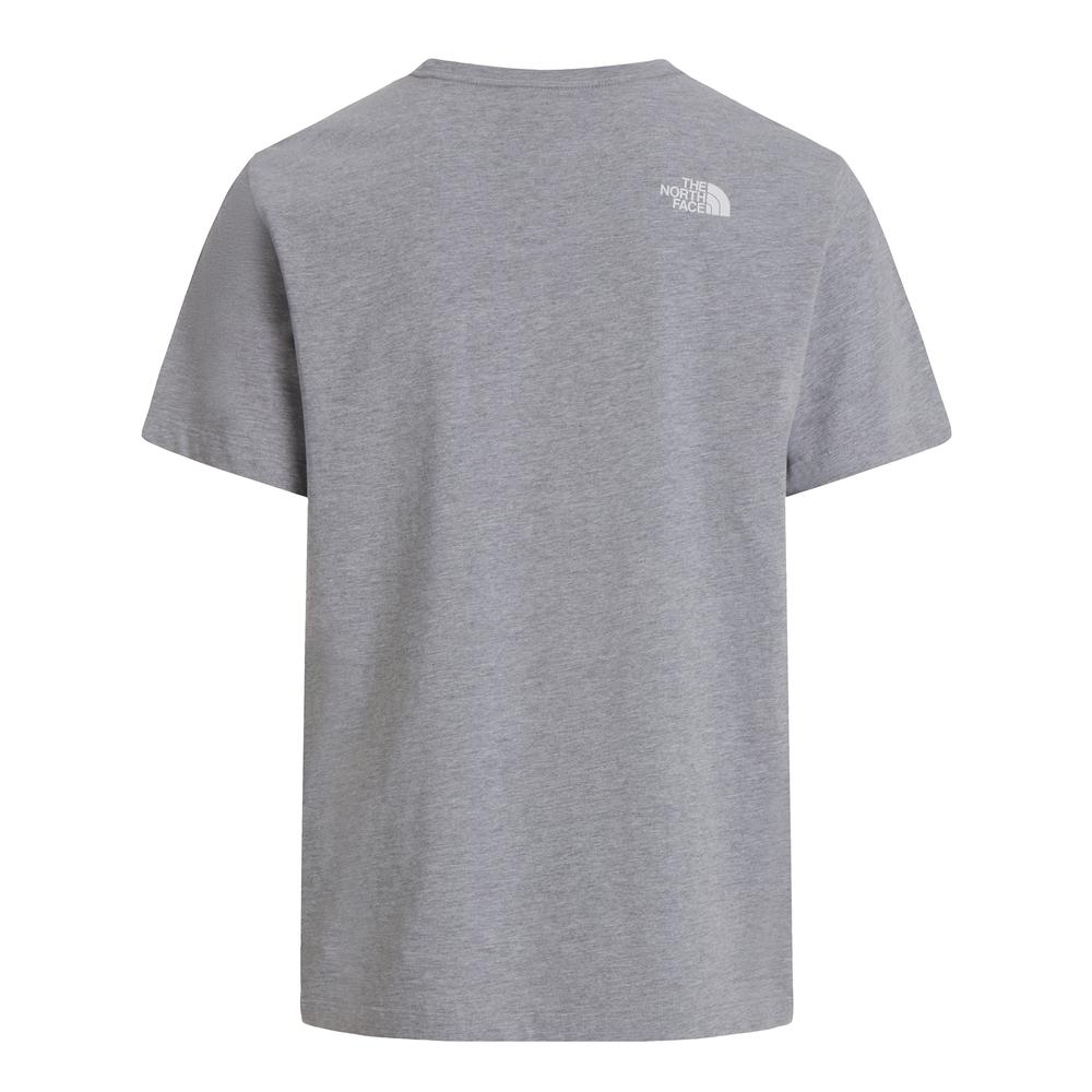 Koszulka męska The North Face Evolution Half Dome 0A8B6JCU71 - szara
