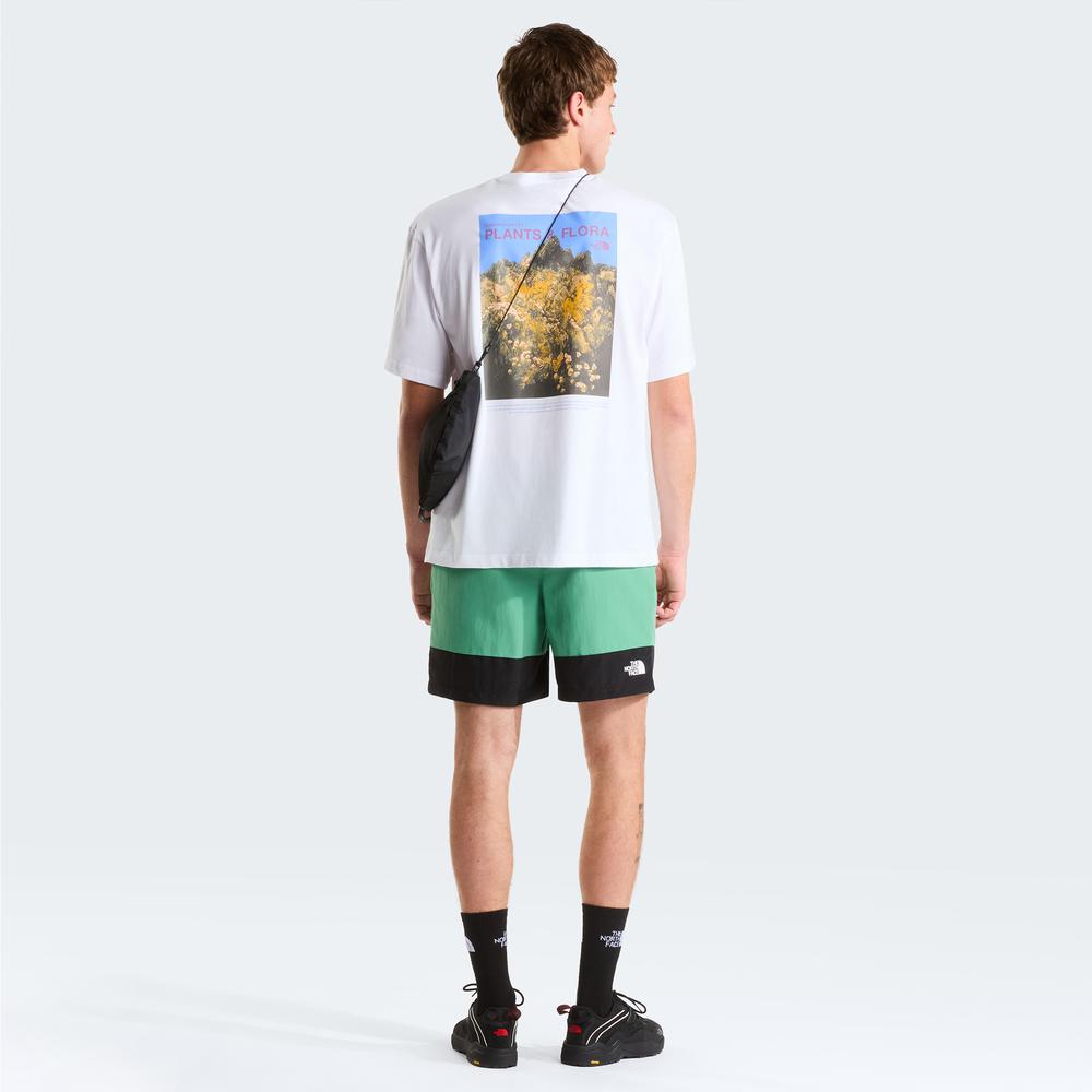 Spodenki męskie The North Face Leynar 0A8FU8MOA1 - zielone