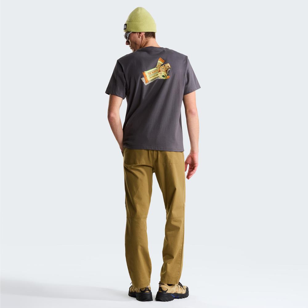 Koszulka męska The North Face Snack 0A8GB4RHI1 - szara